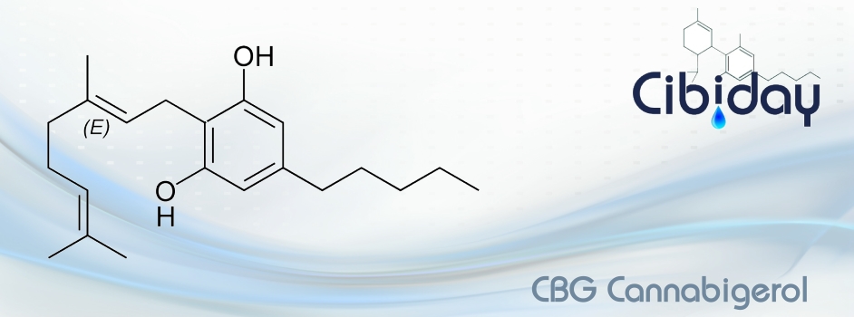 CBG Cannabigerol